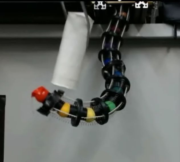 連続体ロボットと巻き付きによる物体把持