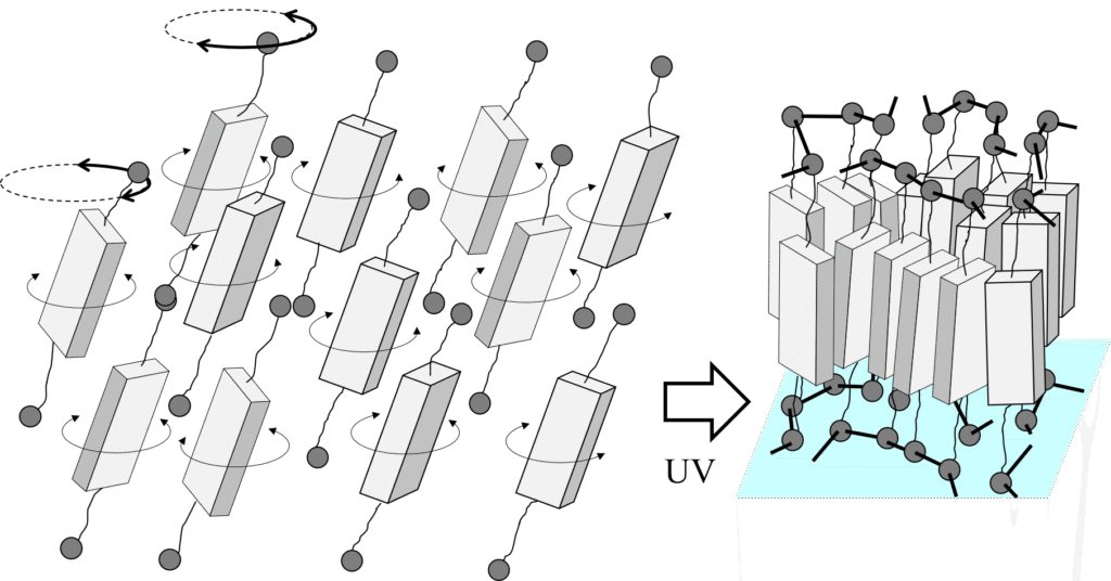 単分子膜ポリマー